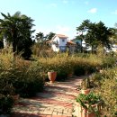 에스제이팜 이미지