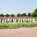 강나루체육공원 이미지