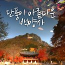 2018년 11월 정기산행 백암산 백양사(18,11.11,일 ) 당일 이미지