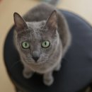 프린스실용음악학원 이미지