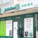 세상 시원한 제주 두피케어 관리 받은 후기:아라동 세이프존두피탈모