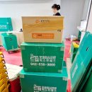 드림익스프레스