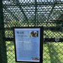 삼중공원 | 제주 동쪽 아이랑 무료입장 노루 반달곰이 있는 자연 생태 공원