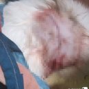 목과경로당 이미지