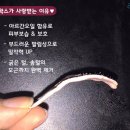 대우홈마트 이미지