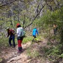 장기목장 이미지