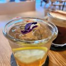 신스포레스트 이미지