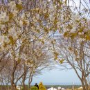 그람피하우스 이미지