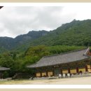 표충사호국박물관 이미지