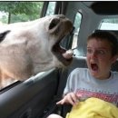 스카이독서실 이미지