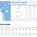 2023년 1월 28일(토요일) 13:00 현재 대한민국 날씨정보 및 기상특보 발표현황 (울릉도, 독도 포함 - 기상청발표) 이미지