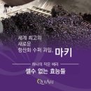 화계슈퍼 이미지