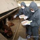 태웅축산 이미지