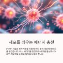 신박한정리전문가 | PEMF, 내 몸의 배터리를 충전하는 신박한 방법? (솔직 후기)