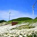 &#34;이게 하루 만에 가능해요?&#34;... KTX 연계 당일치기 시티투어 이미지