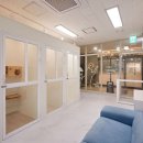 고양이 이발관 이미지