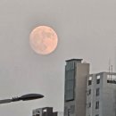 김밥천국당정점 이미지