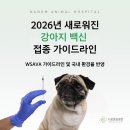 나봄동물병원 네이버블로그