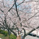 엄지다방 이미지