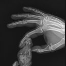 하안동물병원 이미지