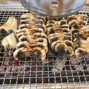 미남장어 이미지