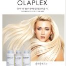 동미사 이미지
