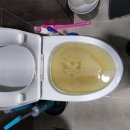 스테이준 이미지