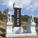 포천시 이동면 안산김씨 묘문 (安山金氏 墓門) 이미지