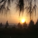 신공항세탁 이미지