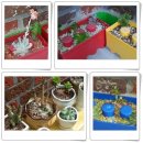 정동진썬게스트하우스 이미지