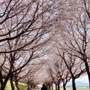 삼문강변로 이미지