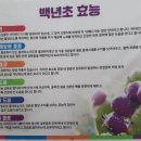 백년초바지락칼국수 이미지
