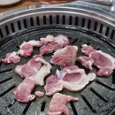 낙겹살