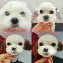 괴정3동-3 이미지