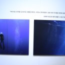 제나할러웨이 워터베이비전 이미지