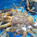 바다할인마트 이미지