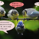 보수여, 하나로 똘똘 뭉치자! 이미지