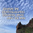 울릉크루즈투어