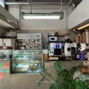 연의양과 이미지