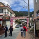 대진카도크센타 | 포천 명성산 2025 억새꽃축제 최단코스 산정호수 단풍