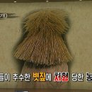 우지개