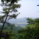 백골산성 Daum카페