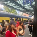 동신약국 | 융프라우 vip 패스로 융프라우요호 정상 여행 총정리 꿀팁ㅣ융프라우 가는법 준비물 할인 날씨 웹캠...