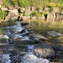 위크팜글램핑 이미지