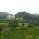 사진:맑은물이 토지사이로 흐르는 천안귀촌토지 이미지