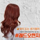 지에스25 율량햇살점 | [궁서채 율량점 은수디자이너]가을염색/단풍염색/레드염색/레드오렌지/웜톤염색추천/여자염색추천