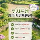 서귀포 펜션, 산방산 뷰 무료 조식 주는 가성비 좋은 <루시드엠> 내돈내산 후기, 가족 여행 숙소로 추천!