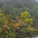 (주)초록숲환경 | 오대산 단풍 시기 🍁｜25년 10월 7일 현황 &amp; 체험학습관 후기
