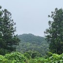 제주삼읍도총지도 | 세 오롬 중 맏형인 남짓은오롬의 한 많은 사연