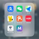 정대카서비스 | 중국 상하이 상해 여행 :: 3박 4일 일정 _ 준비물 / 필수앱 어플리케이션 / 총 경비(1인 경비) 🇨🇳🥟🐒🐉